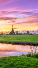 VCG41N826704724