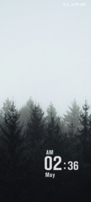 Gray Forest