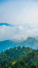 Clouds and mists entwine layer upon layer of green