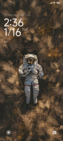 field Space suit