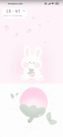Strawberry rabbit