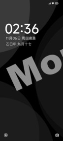 AP16深色物质