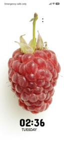 Raspberry Snow