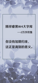 腾祥睿黑W4大字库