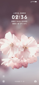 唯美经典 樱花