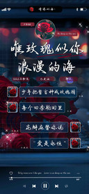 唯玫瑰似你浪漫的海