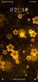 Plum Blossom HD_3MDS