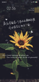 成长是孤独的