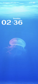 Sealife