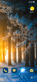 Silent Forest