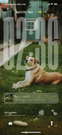 AJ Dog lovers