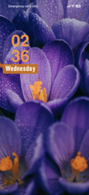 Water Droplets