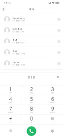 一剪寒梅