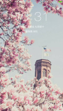 樱花之恋