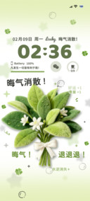 光栅 去晦气柚子叶