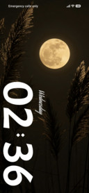 Moon Reed