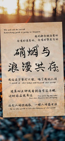 硝烟与浪漫共存