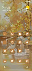 Ducks in Autumn