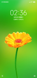 花开静美