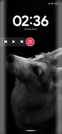 Wolf_Three