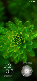 花夕