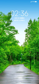 至美护眼绿景