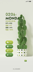 清新仙人掌