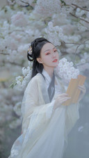 仙子下凡