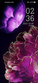 flowers dreams
