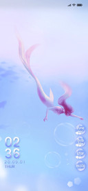 The mermaid dream