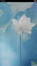 梦幻莲花 唯美清新 右滑解锁