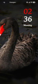Black Swan