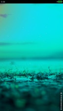 夏雨