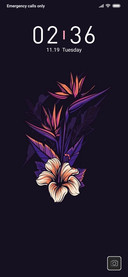 Dark Flower_DWM3