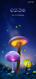 The mushroom
