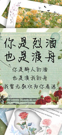 你是烈酒也是渡舟
