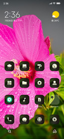 FLower_hope