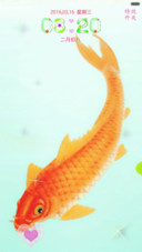 锦鲤