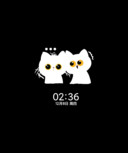 A16灵动小黑猫