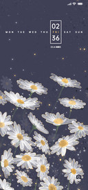 深蓝色小雏菊