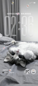 ins氛围可爱猫猫