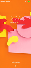 MCK UI GLOBAL