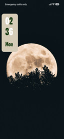 Moon Crest