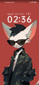 Handsome Cat Rich