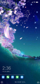 夏夜花季  动态