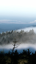 The mist locks the mountains and the morning light is