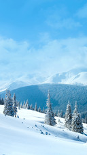 Winter Rime and Snow Covered Landscape