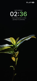 Fresh Sprout