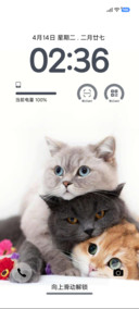 超级宠物猫咪S
