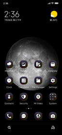 Luna Night